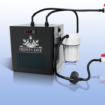 The Role of Water Chillers in Cold Plunges - Frosty Dive